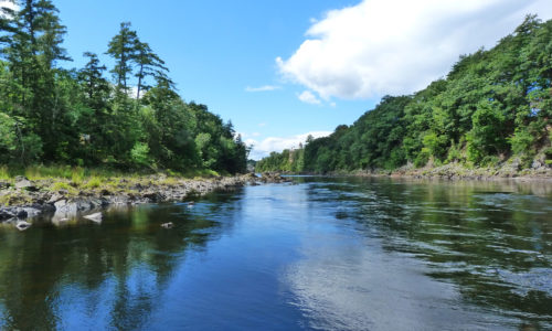 Looking up the Kennebec toward Skowhegan