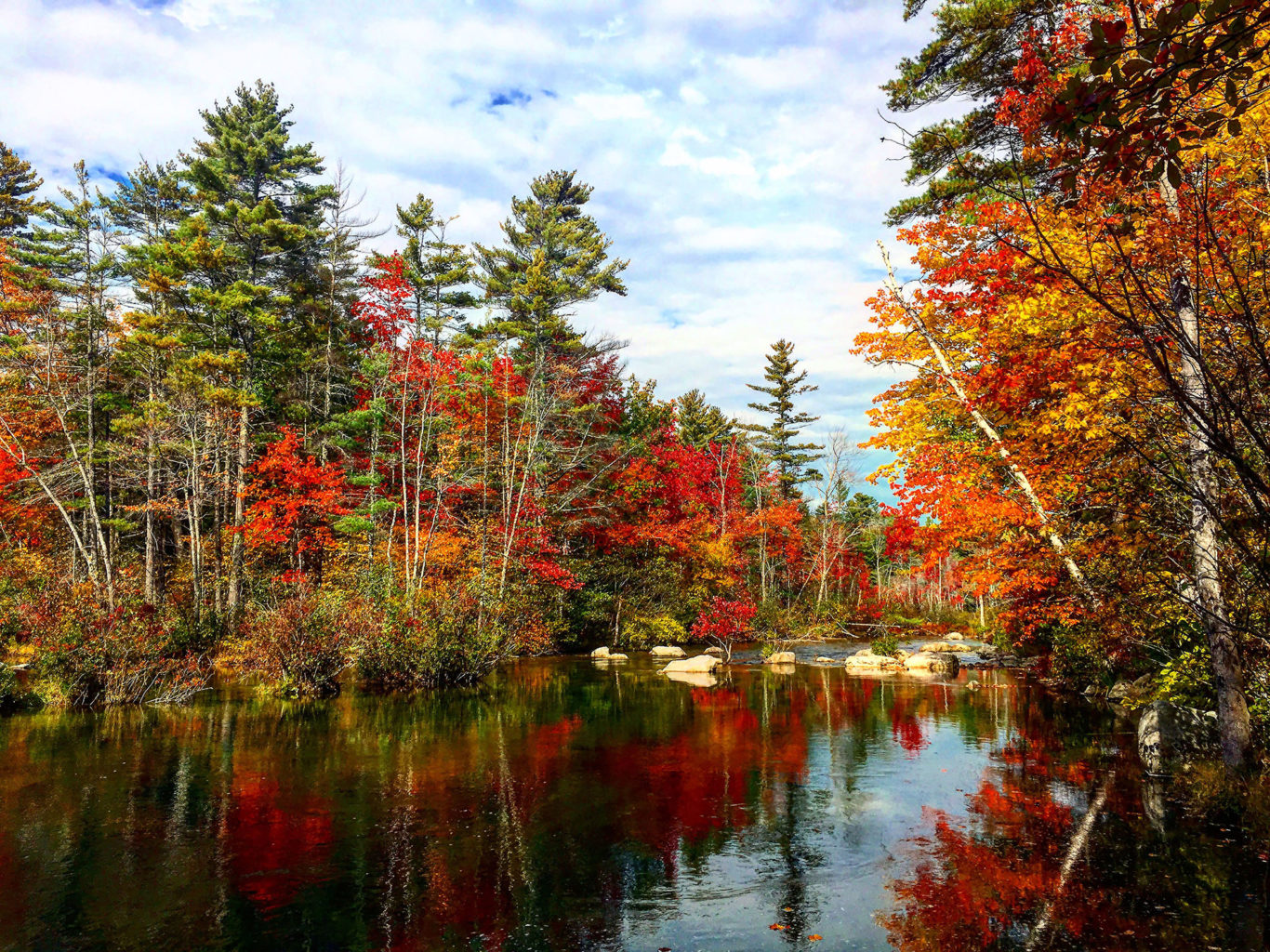 Presumpscot River Preserve by Mary Zambello