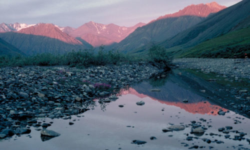 Arctic National Wildlife Refuge