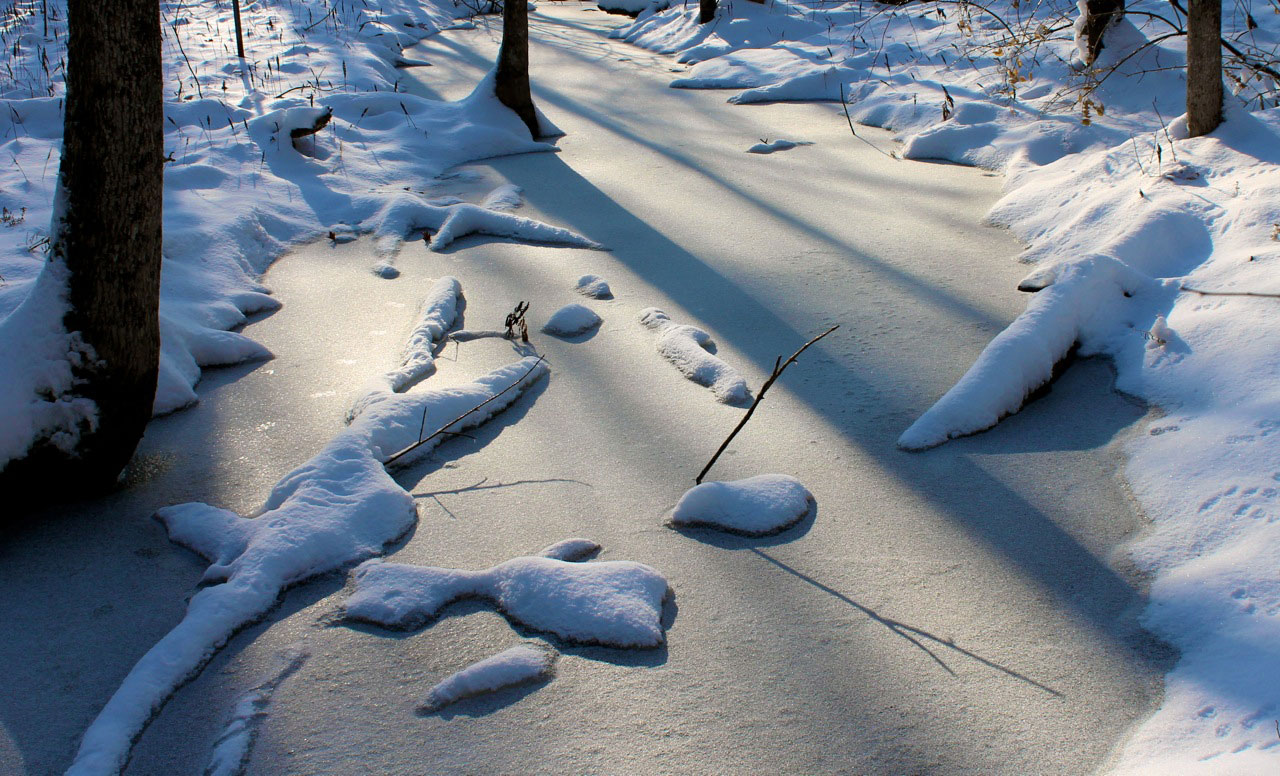 December stream, China, Maine by David Preston