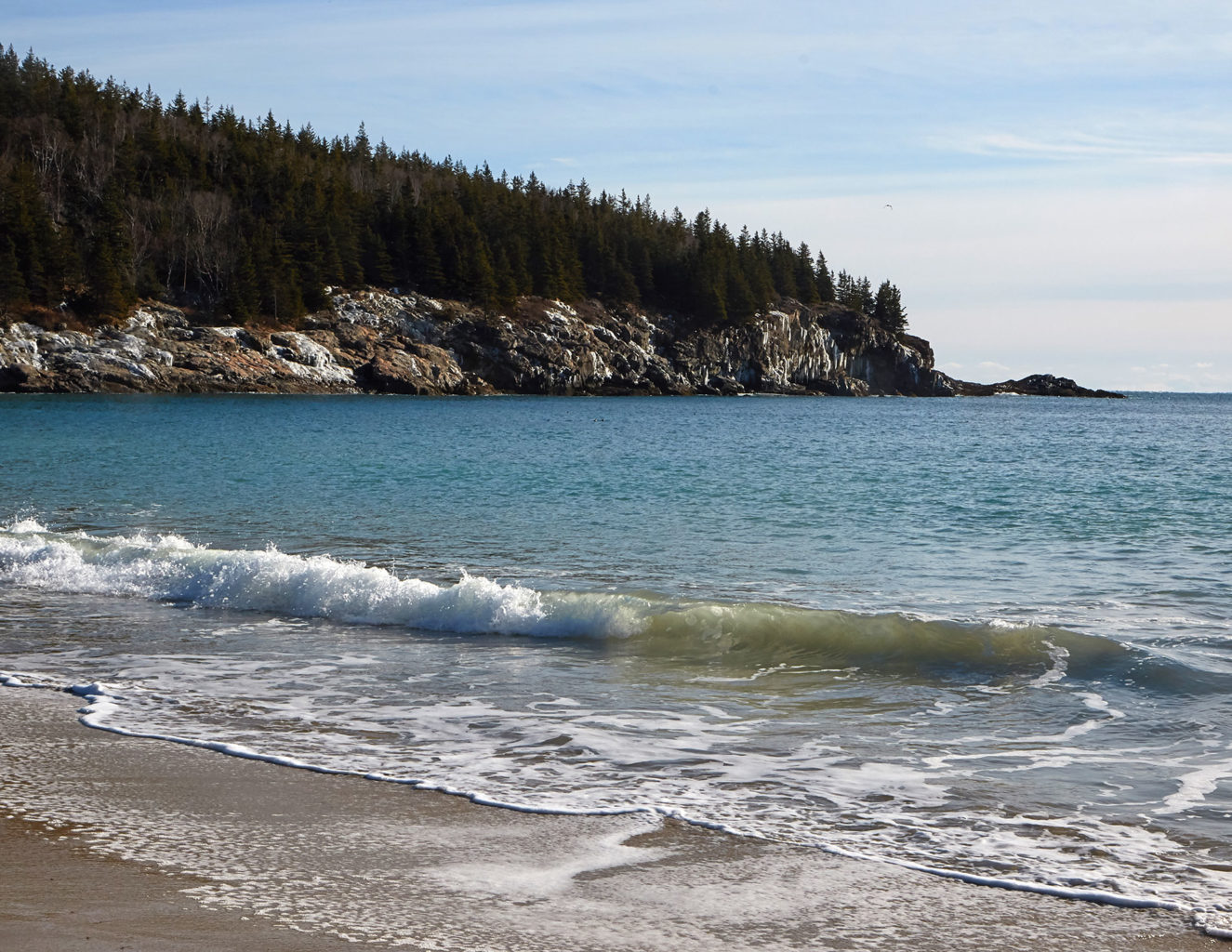 Great Head, Acadia National Park, Pam Wells photo