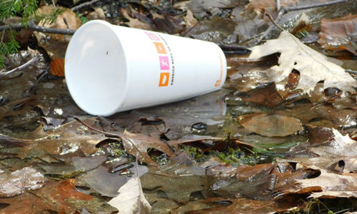 plastic cup litter in Maine