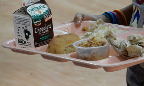 school lunch tray