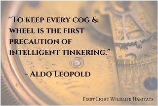 Aldo Leopold