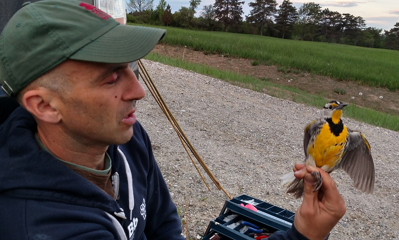 Noah Perlut, Associate Professor in the Department of Environmental Studies, University of New England