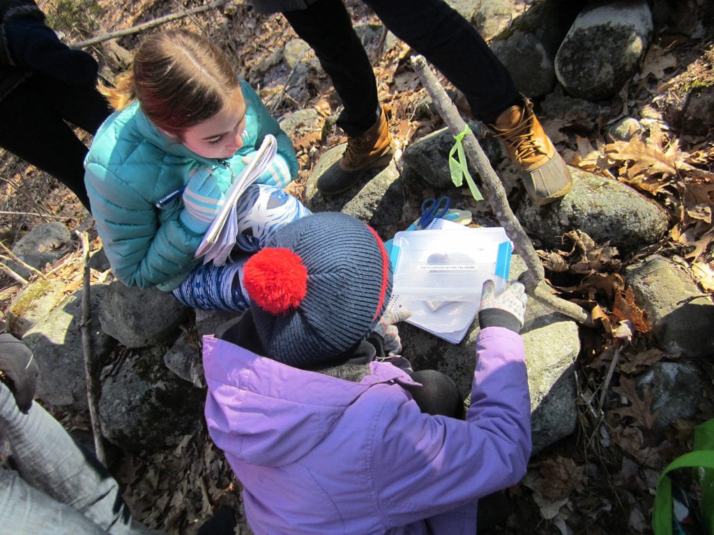 Two students weighing a mouse that we marked and released.