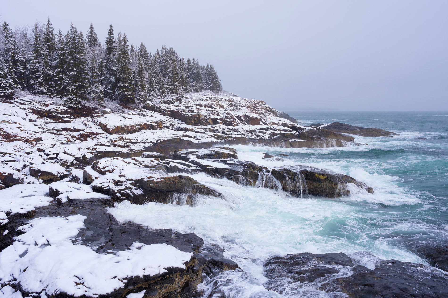 Great Head Trail Acadia National Park