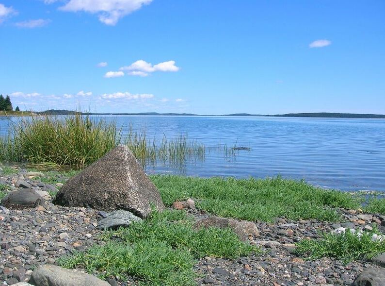 Cobscook Bay State Park, photo by Allison Wells