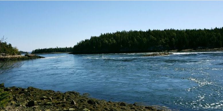 Reversing Falls, photo by Jim Sosa