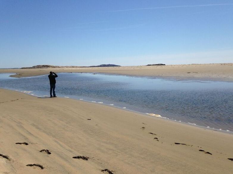 Seawall Beach, photo courtesy of Russ Pierce