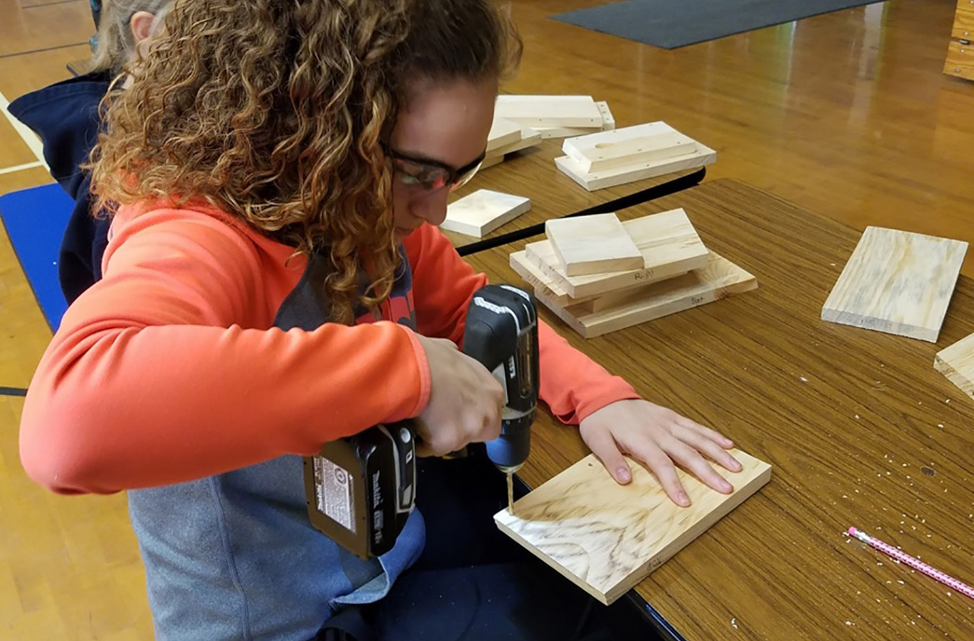 Athens school birdhouse building