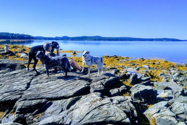 Bar Harbor boys