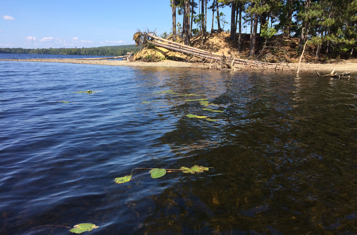 Moosehead Lake by Vivienne Lenk and Walter Mugdan