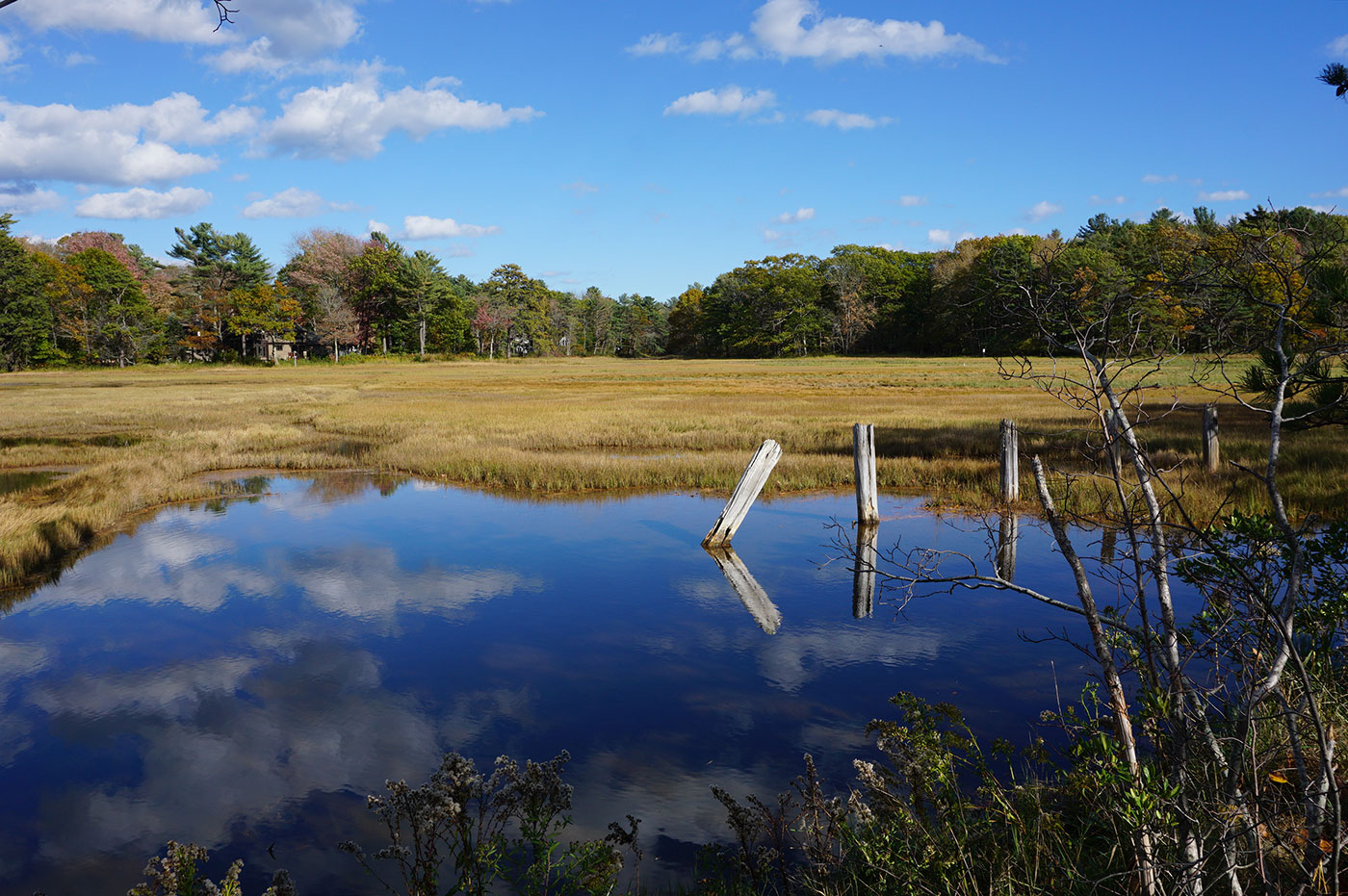 Mousam-River-Estuary-Trail-in-Kennebunkport-Laura-Pope