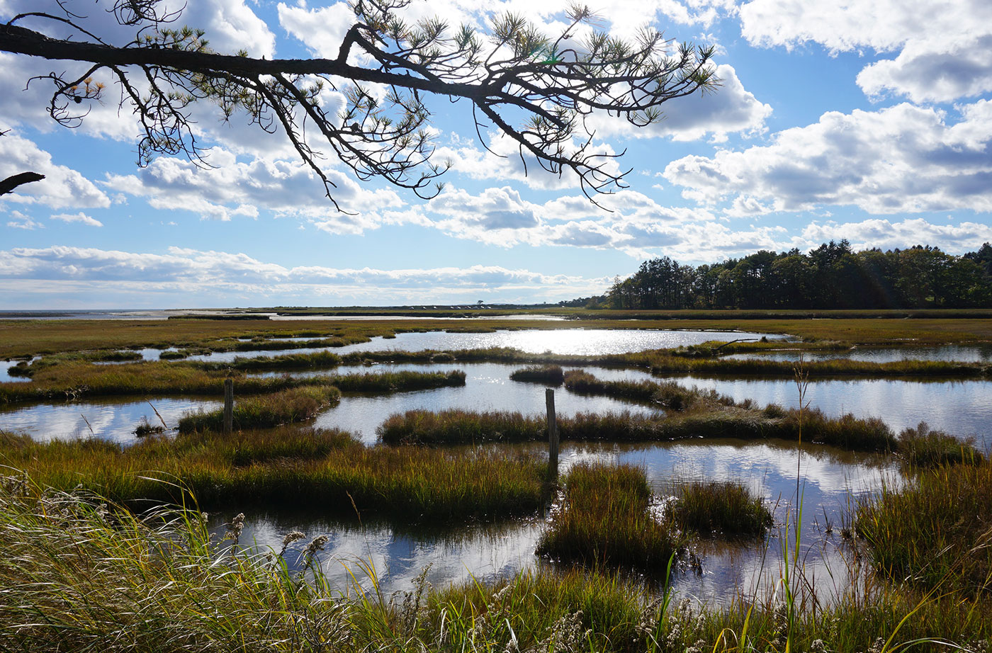 Mousam River Estuarine Trail in Kennebunkport