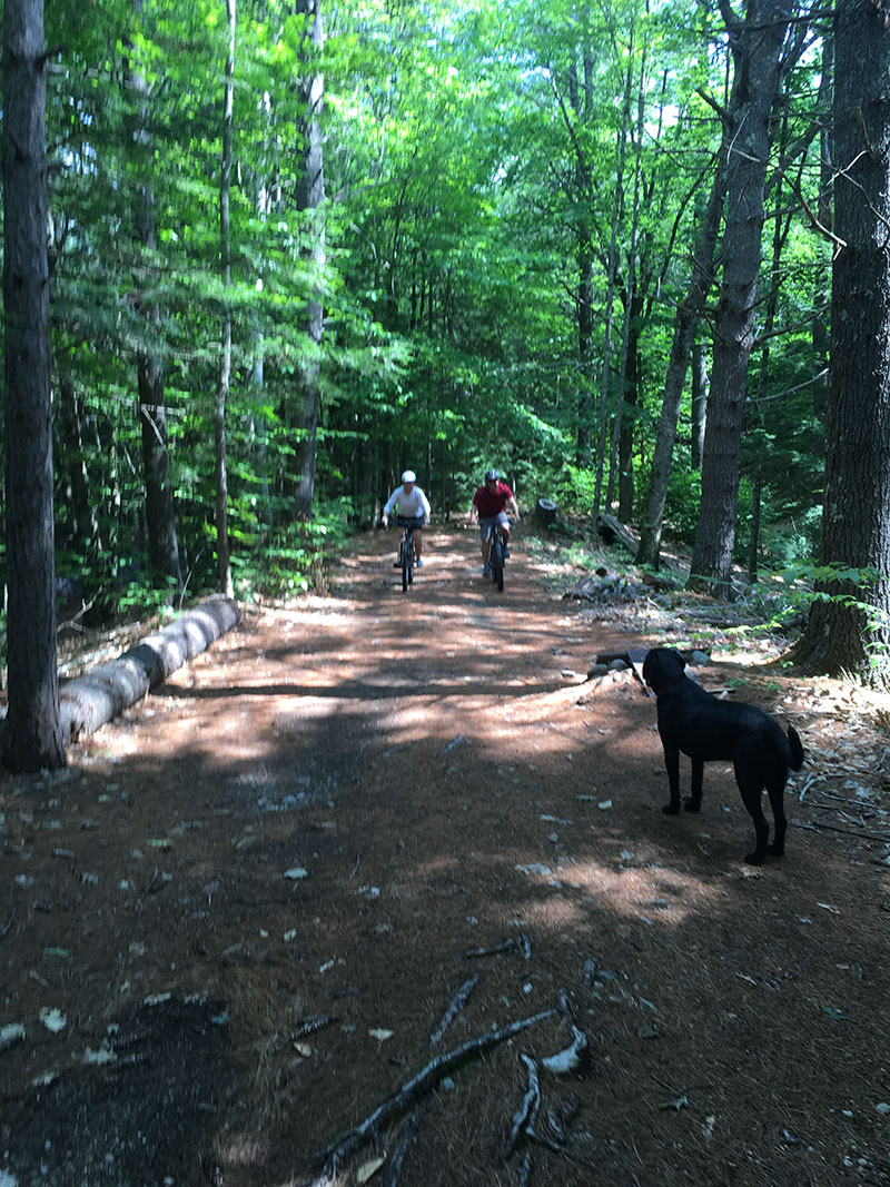 One of the trails at Back Country Excursions