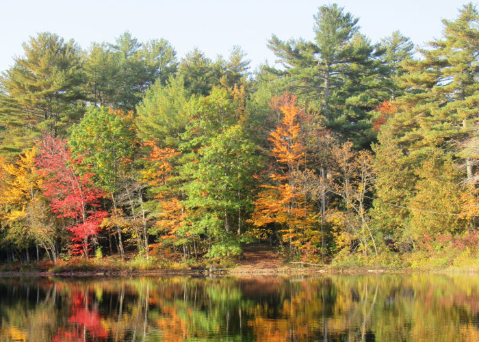 Pattee Pond in Winslow. Photo by Linda Woods