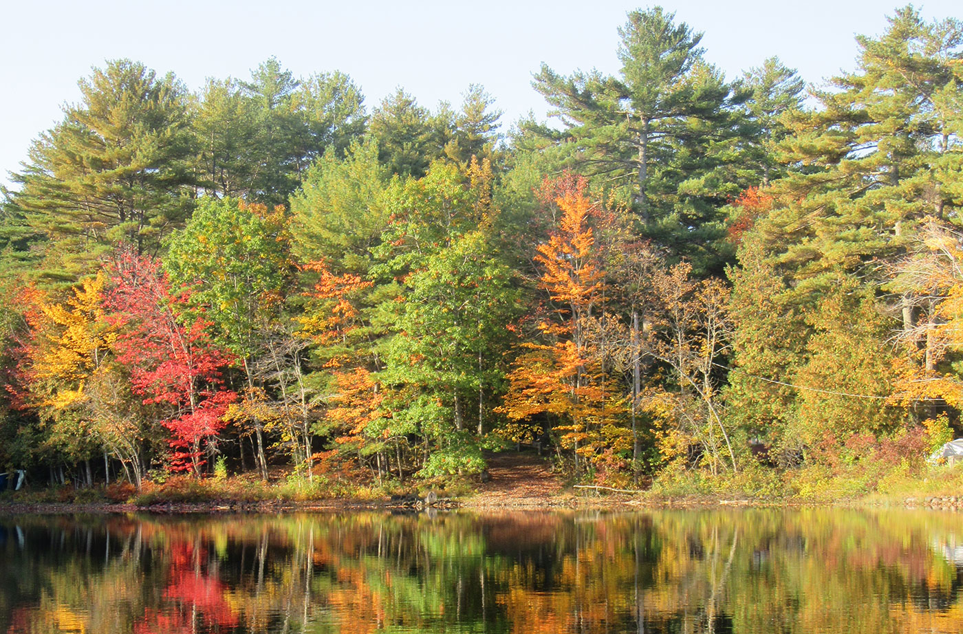 Pattee Pond in Winslow. Photo by Linda Woods