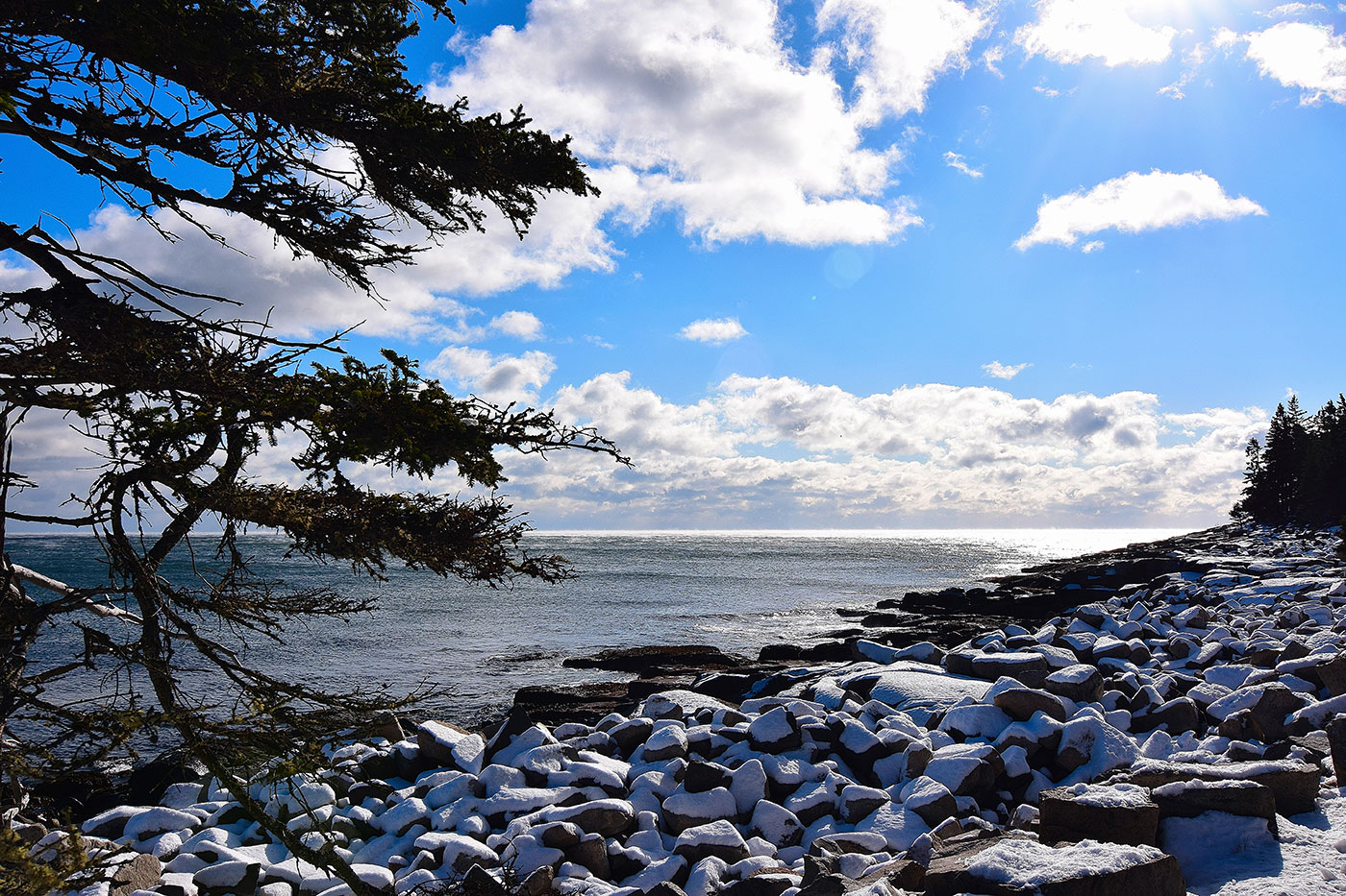 Schoodic Loop Road Hancock by Hal Winters