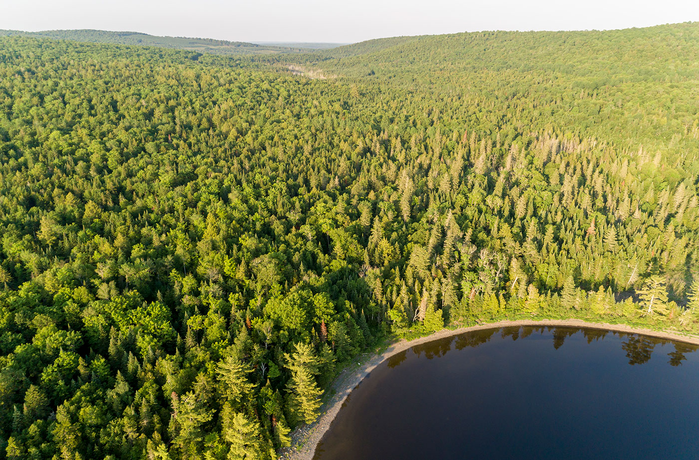 Shoreline of Square Lake in Maine's Aroostook County. Photo by J.Monkman/NRCM