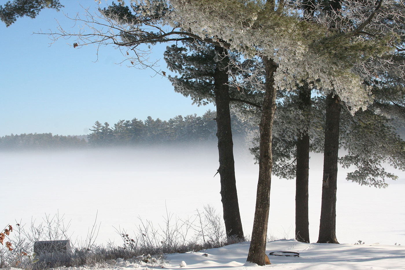 Thomas Pond, Casco, by Karen Gannon