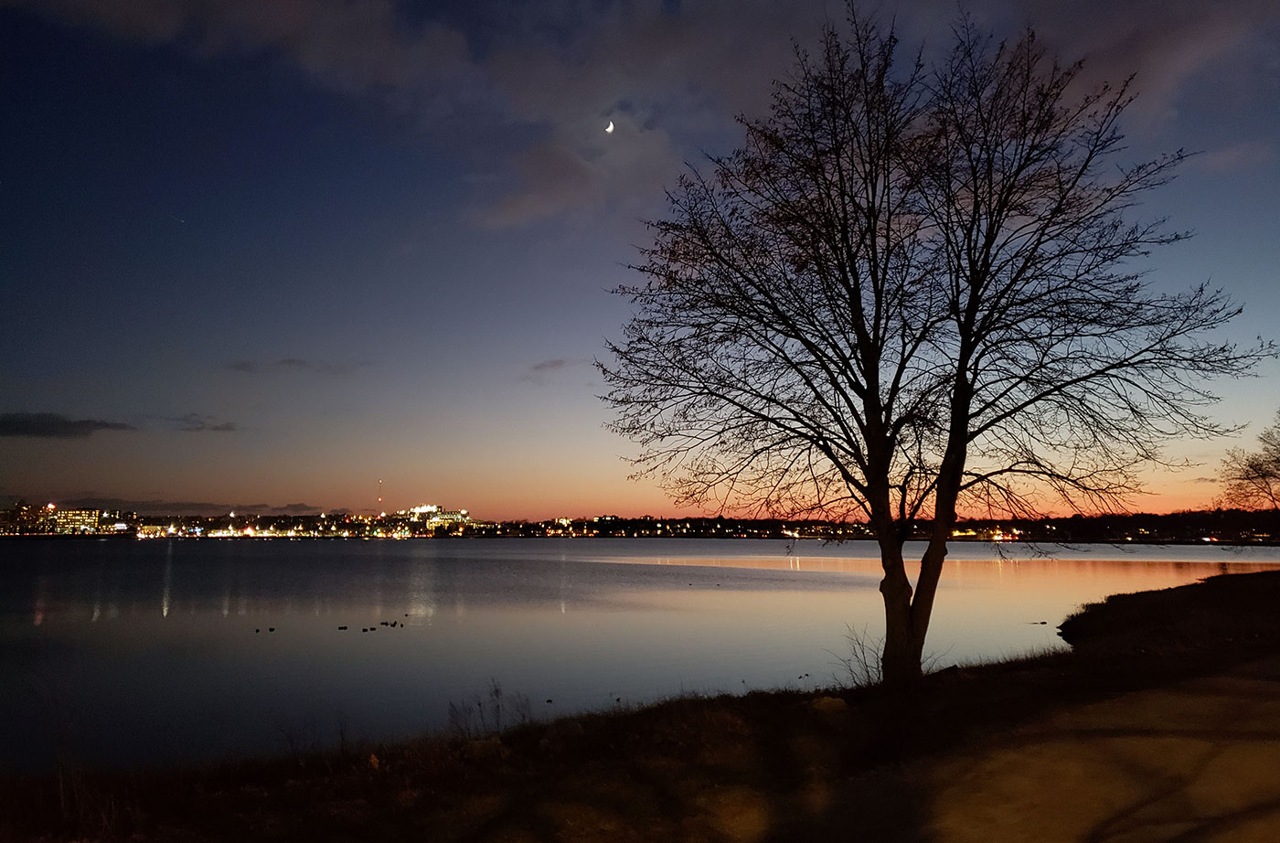 Portland's Back Cove from Baxter Boulevard. Dave Maher photo