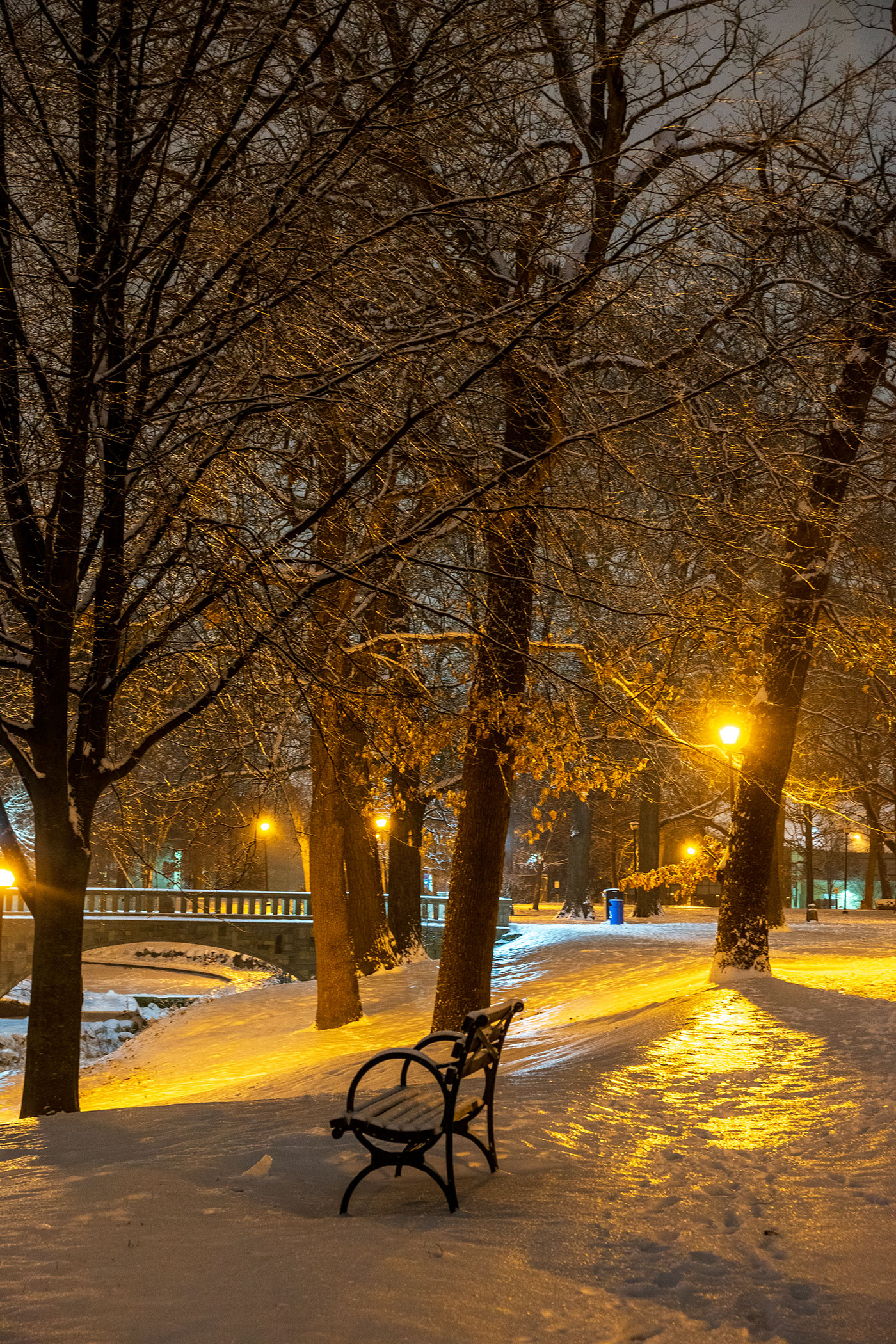 Deering Oaks by Jared Swartz