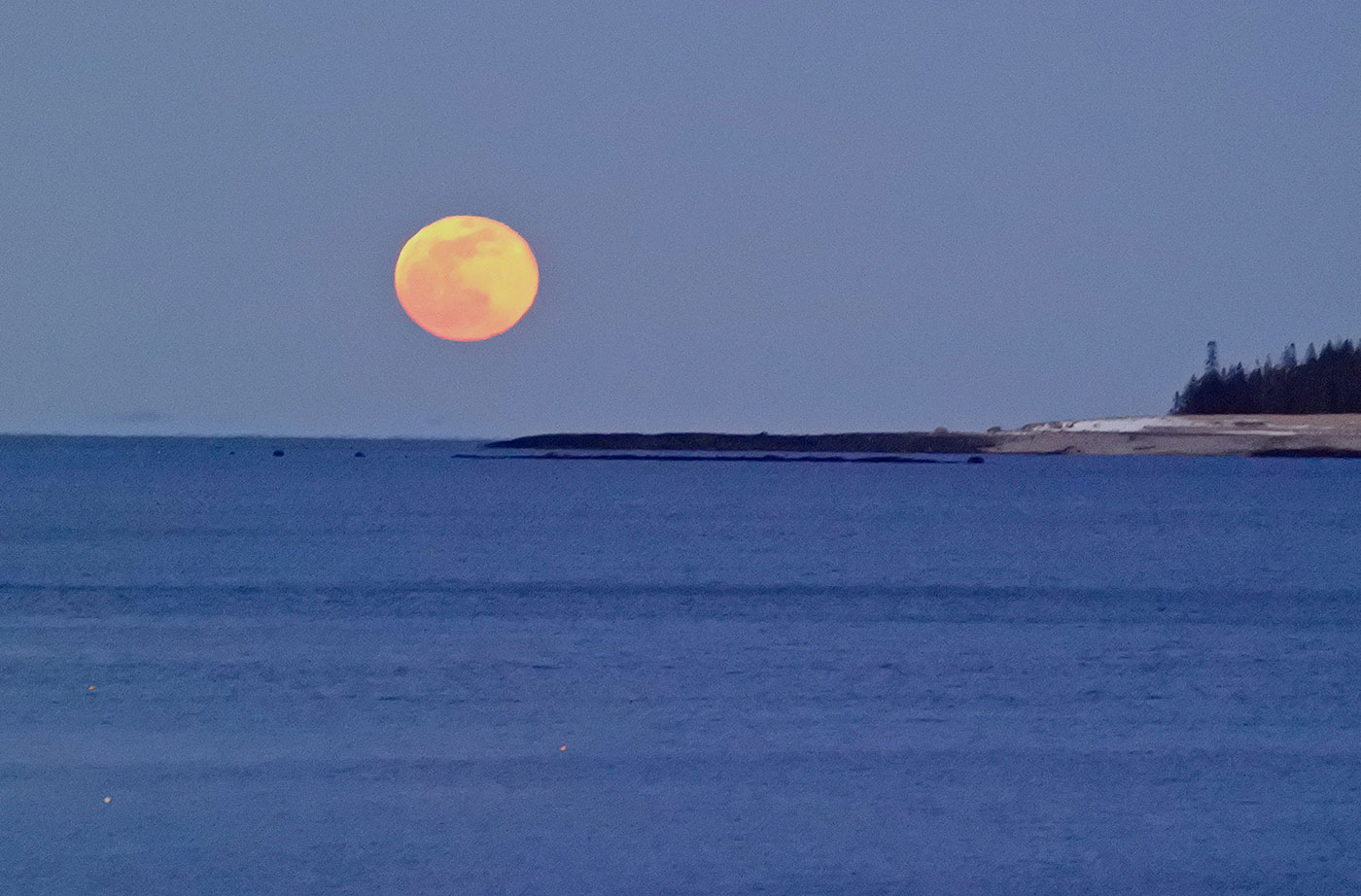 snow moon Steve Cartwright