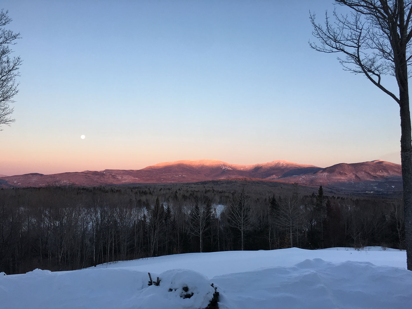 snow moon Saddleback