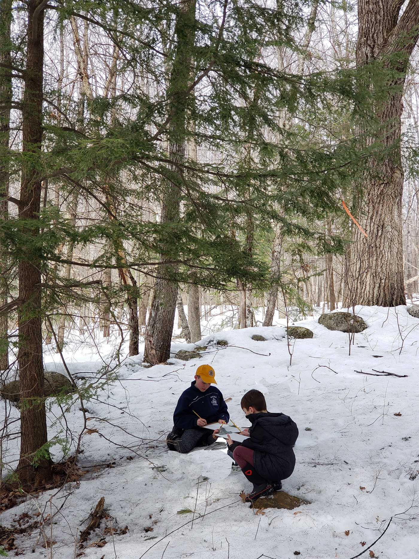 Harrison students on nature trail