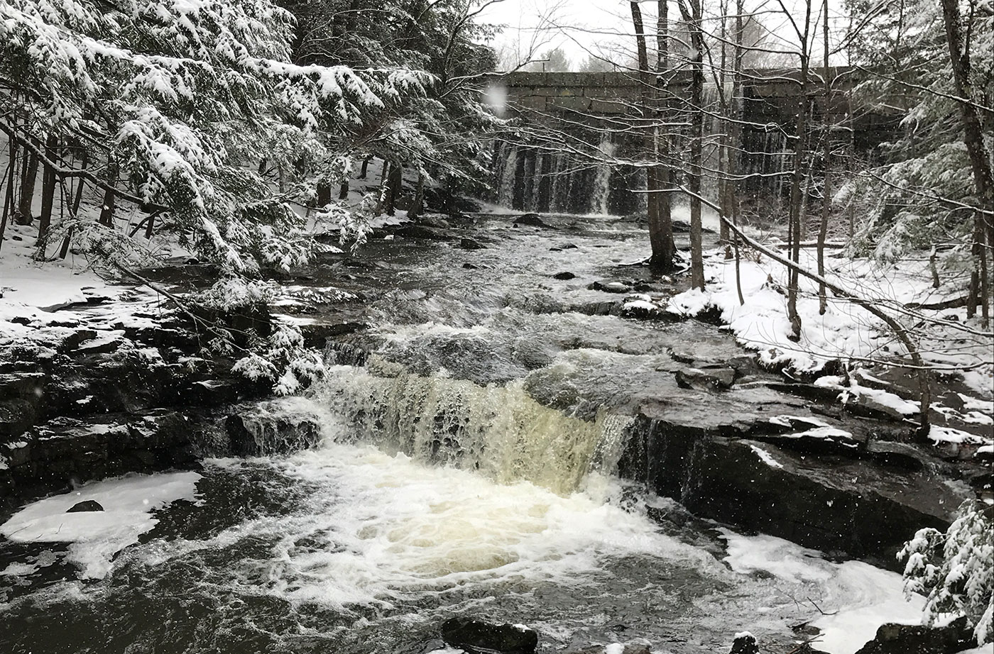 Vaughan Woods in Hallowell