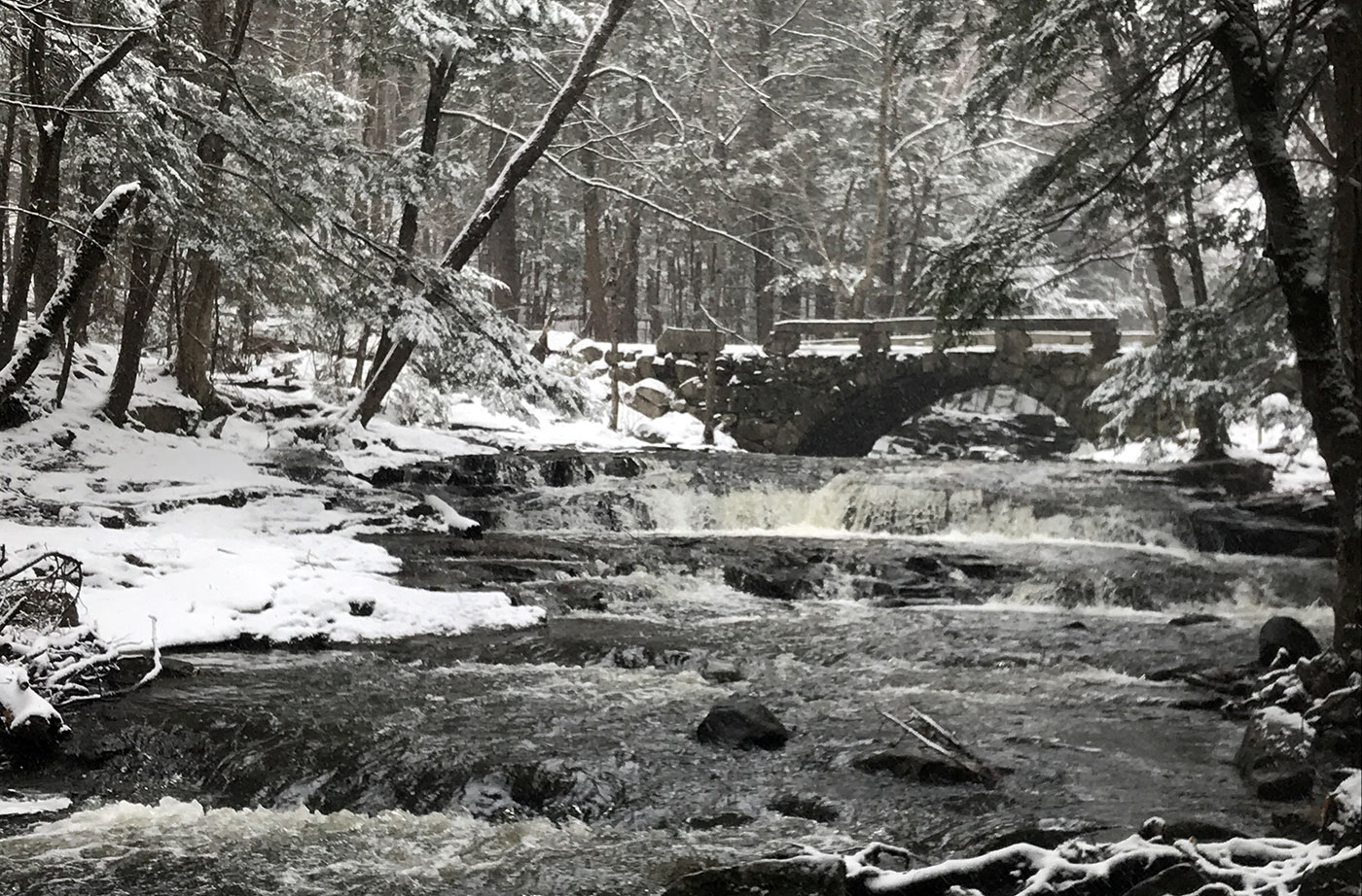 Vaughan Woods in Hallowell