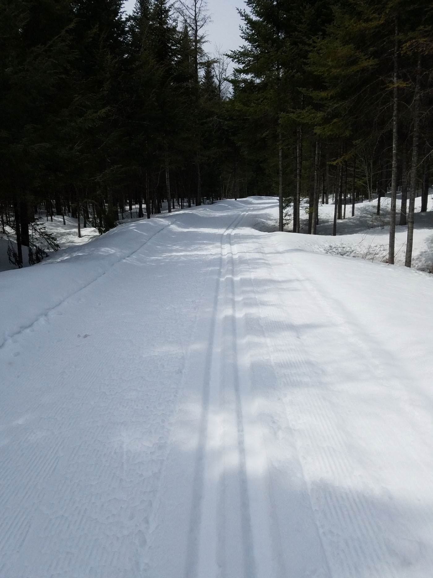 Penobscot River Trail