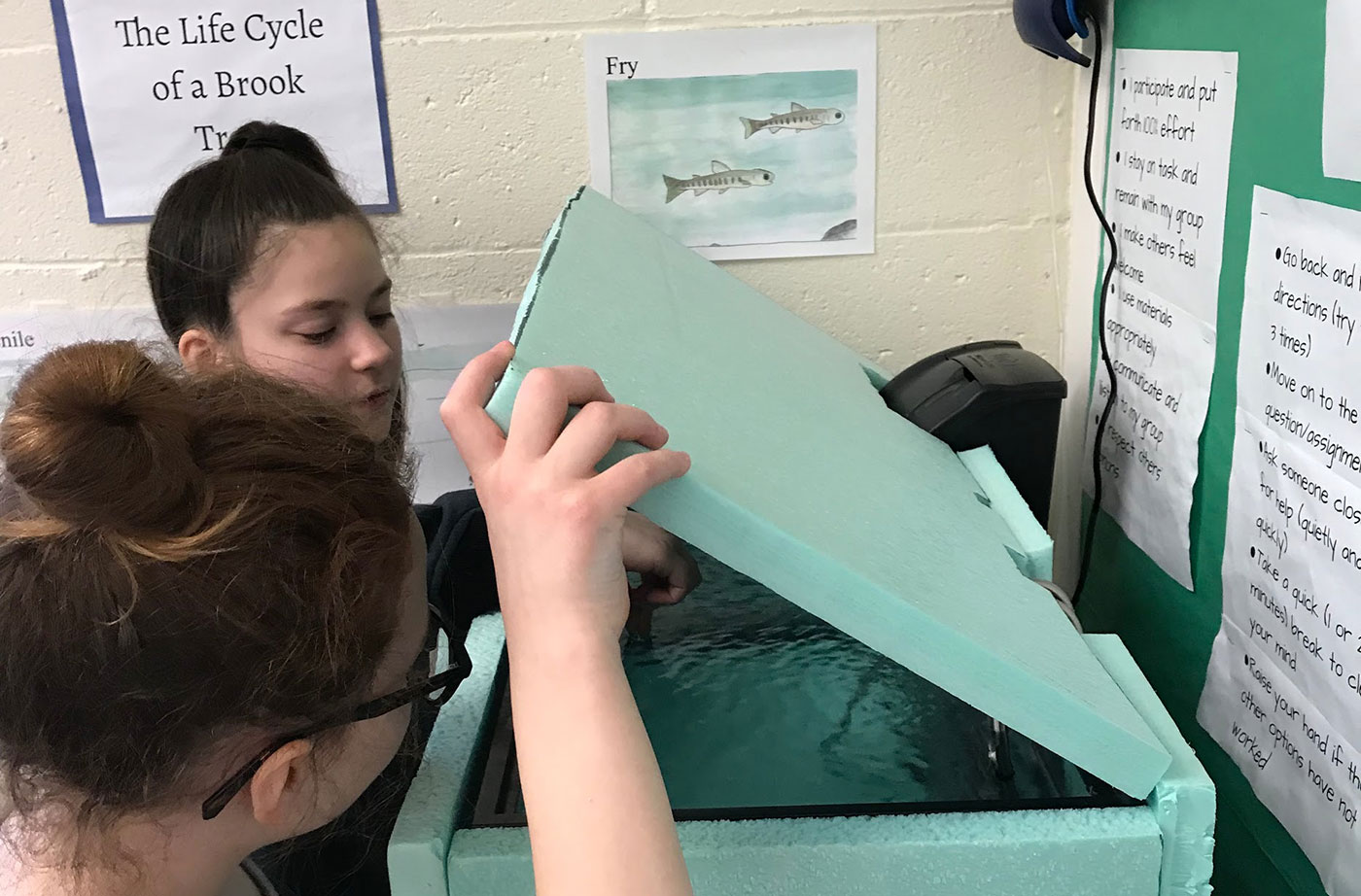 Brook trout at Windham Middle School