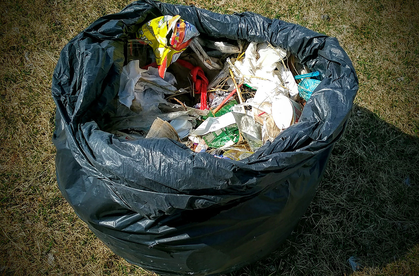 trash along Back Cove