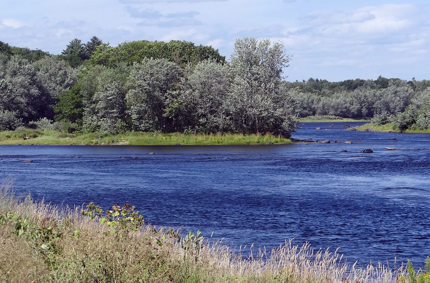 Penobscot River