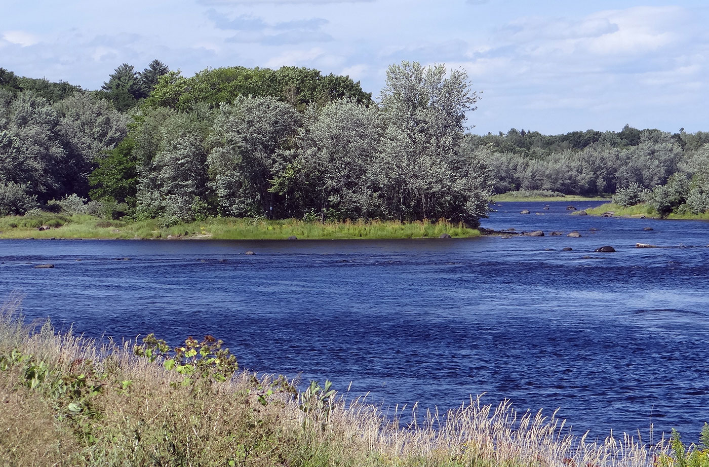 Penobscot River