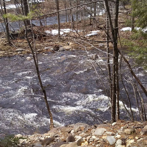 Brook near Strong Elementary School