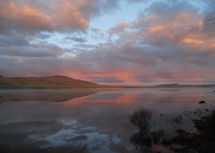 first roach pond reflection