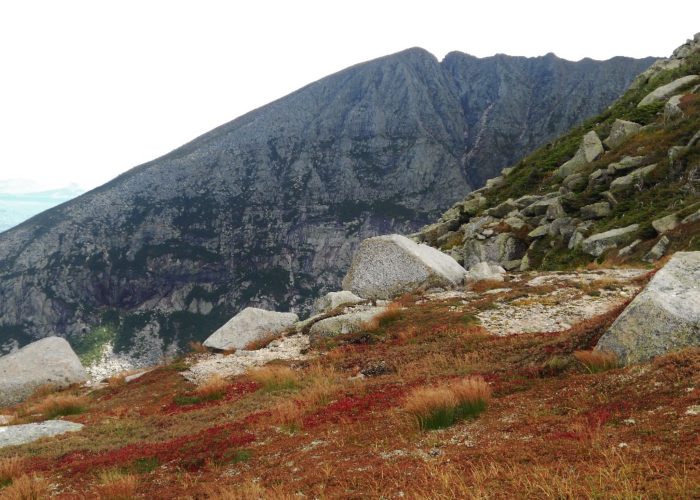 Katahdin’s Saddle view