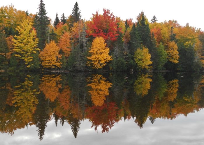 Indian Pond, Big Moose Township