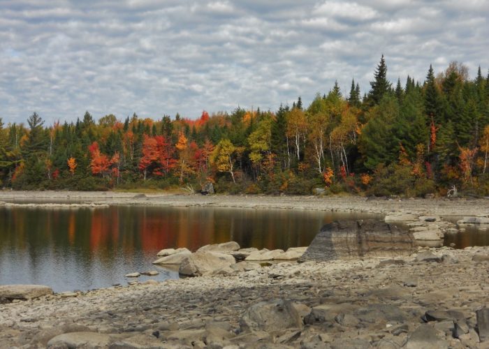 First Roach Pond