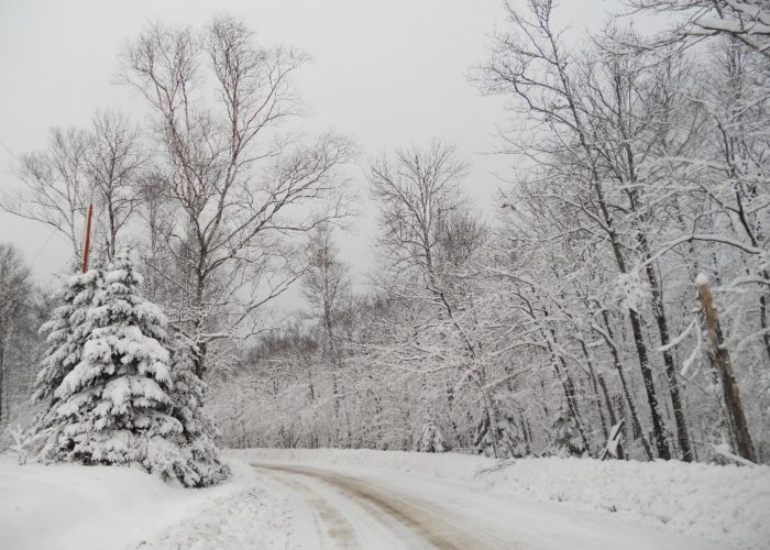 Walden Farm Road in Greenville