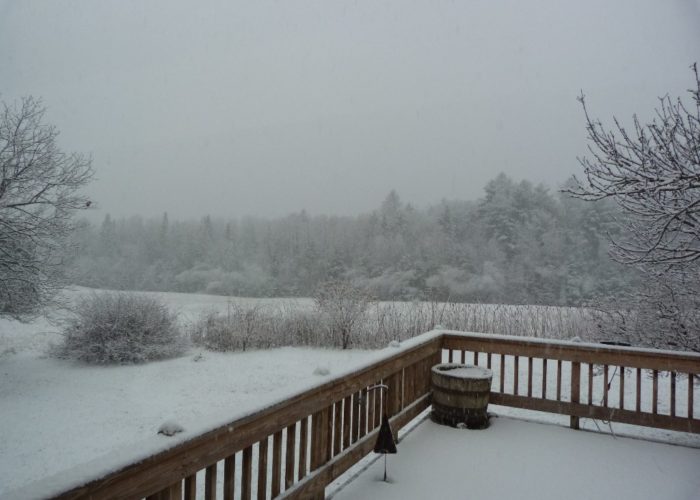 Evening snow on deck