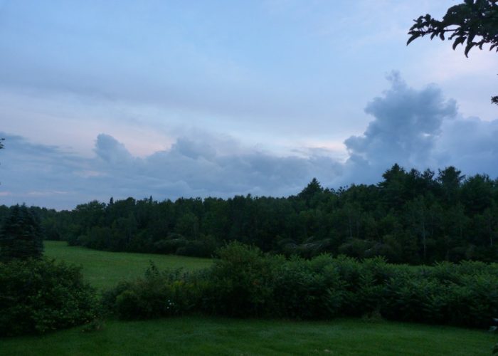 A View Across the Meadow