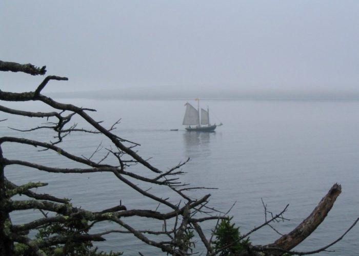 Bass Harbor sailing