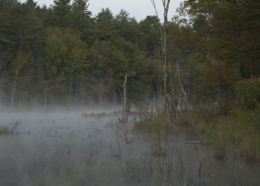 beaver-pond-wilton