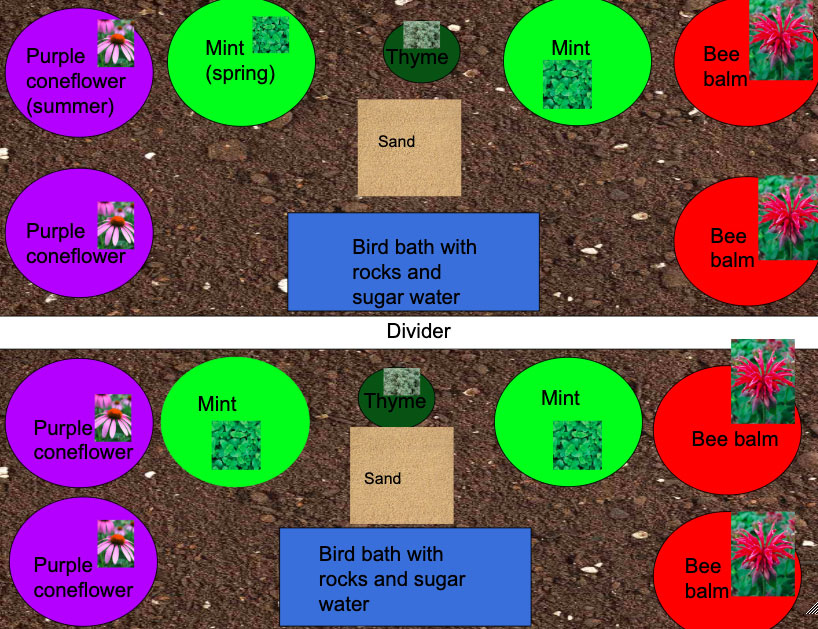 bee garden proposal