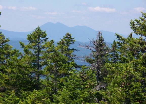 Bigelows from Pleasant Pond Mountain