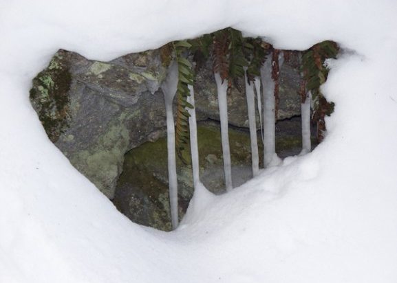 Grafton Notch ice